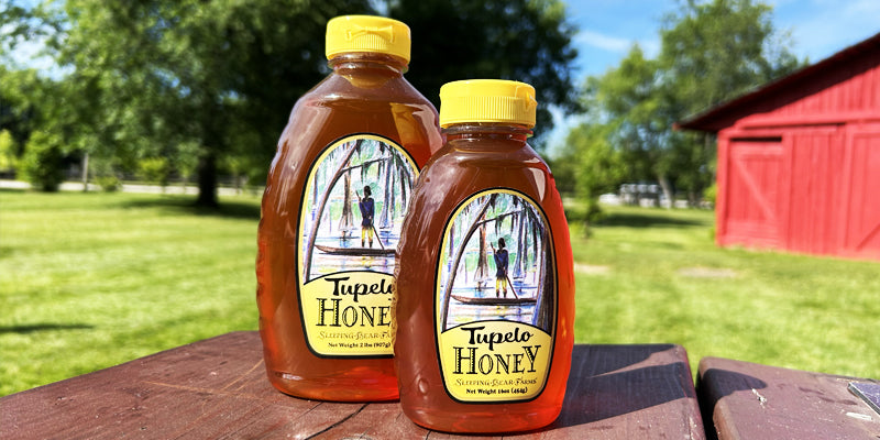 WHAT IS TUPELO HONEY? A BEEKEEPER'S GUIDE TO THE RAREST HONEY IN AMERICA