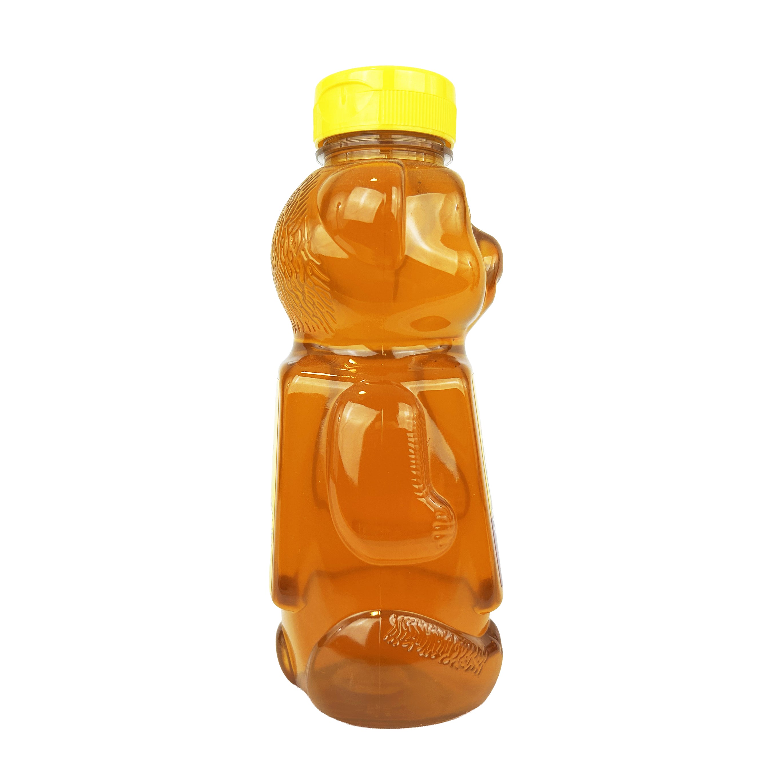 Star Thistle Honey Bear 24 oz. Case of 12